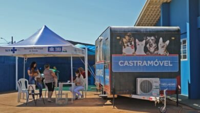 CASTRAMÓVEL – Serviço gratuito da Prefeitura já castrou 6.402 animais em quatro anos de atendimento
