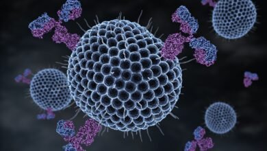 Cientistas descobrem organismo que se alimenta de vírus