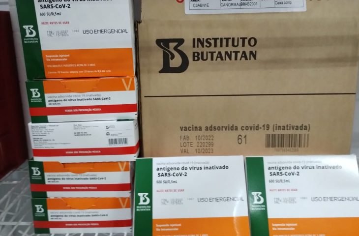 Covid-19: MS recebe 6,5 mil doses de Coronavac para crianças de 3 a 11 anos de idade