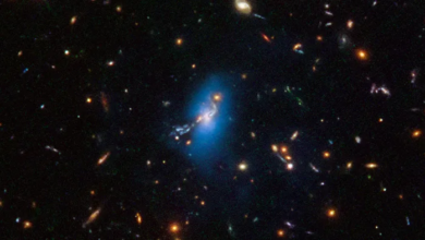 Estrelas fora de aglomerados de galáxias são mais antigas do que se pensava