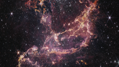 James Webb descobre formação estelar em aglomerado massivo