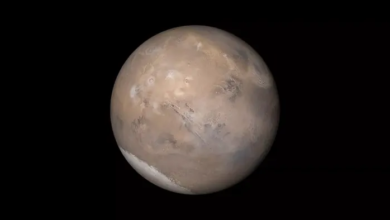 Rover Perseverance revela detalhes das condições meteorológicas em Marte
