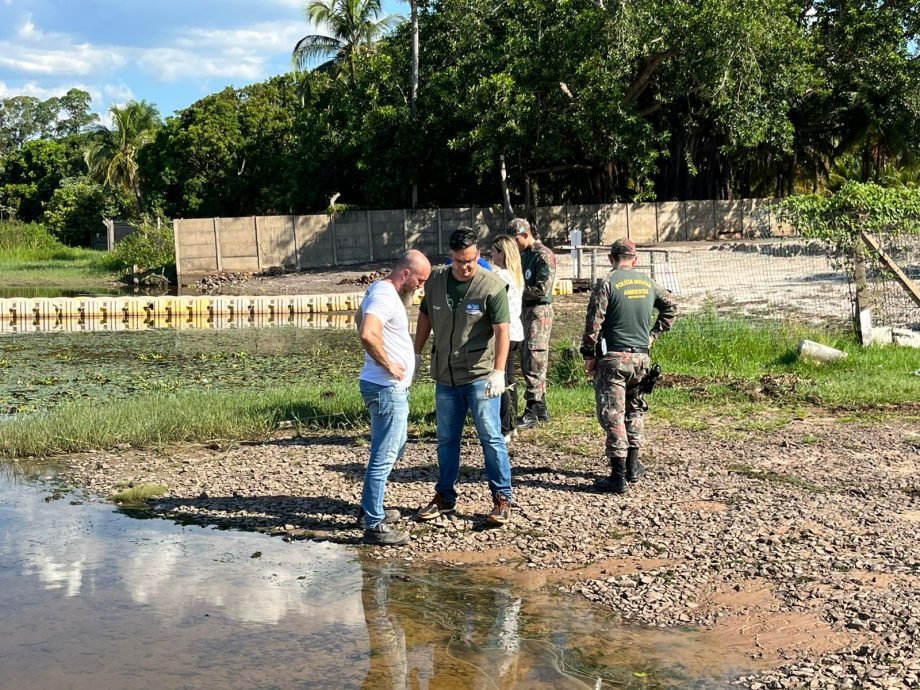 Semea, Imasul, Sanesul, Ibama e PMA investigam mortandade de peixes no Rio Sucuriú e Paraná