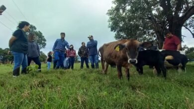 Agraer recebe alunos do Senar para aula prática sobre manejo em bovinocultura de leite
