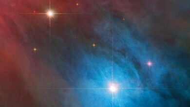 Hubble capta imagem de estrelas da Nebulosa de Orion
