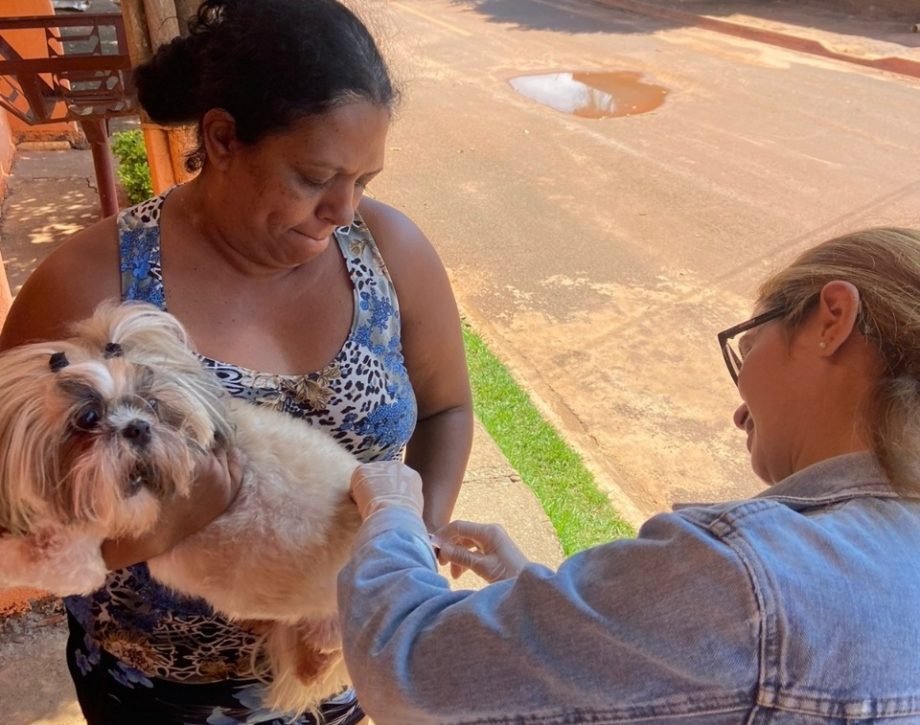 Bairros Santa Julia, Santa Rita e Vila Alegre recebem Campanha de vacinação antirrábica do CCZ