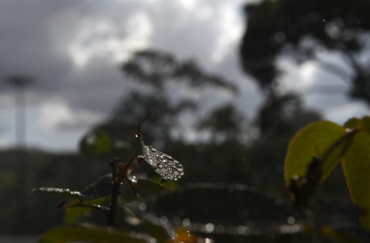 Sol e chuvas isoladas são previstas para este domingo em MS