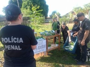 Ação solidária no presídio de Aquidauana distribui ervas medicinais e hortaliças a moradores da região