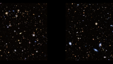 James Webb revela detalhes impressionantes do início do universo