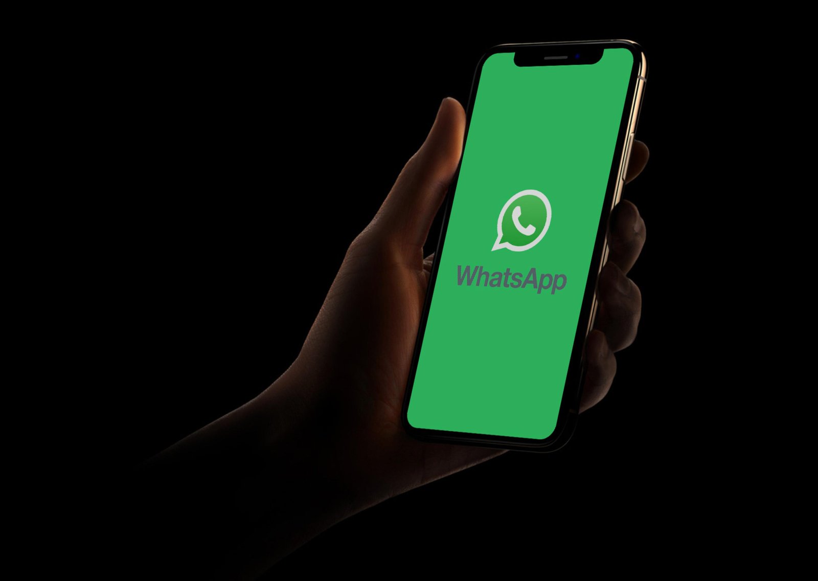 Não deixa rastro! Aprenda a ativar o modo SUPER invisível do WhatsApp