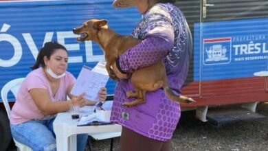 CCZ vai realizar ação para cães e gatos na USF Arapuá, na segunda-feira (05)