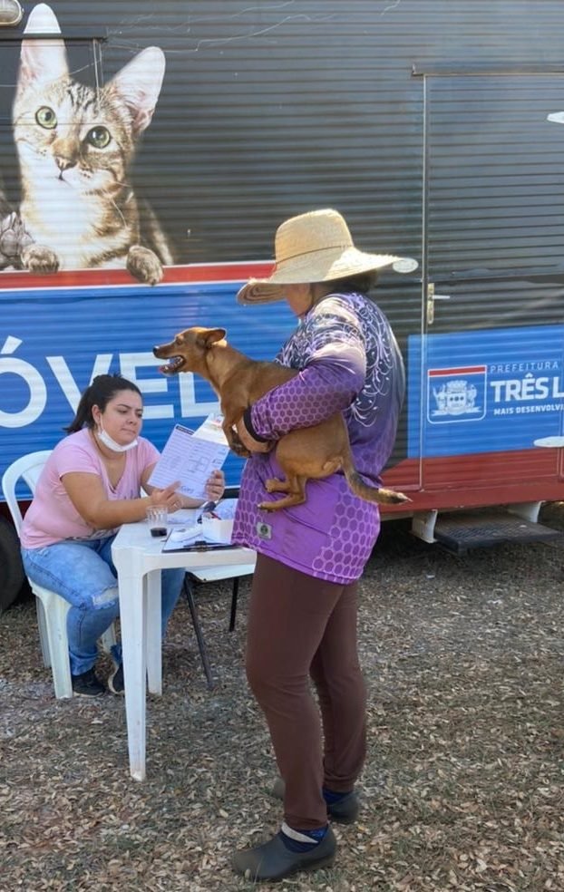 CCZ vai realizar ação para cães e gatos na USF Arapuá, na segunda-feira (05)