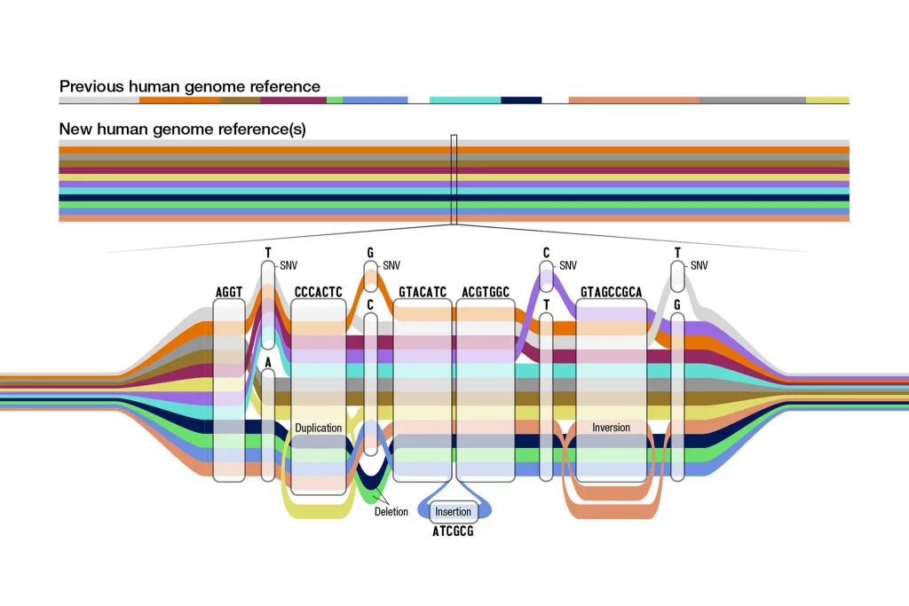 Cientistas descobrem novo genoma humano