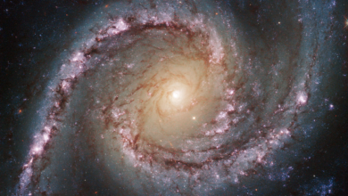 Destaque da NASA: bela galáxia espiral é a foto astronômica do dia