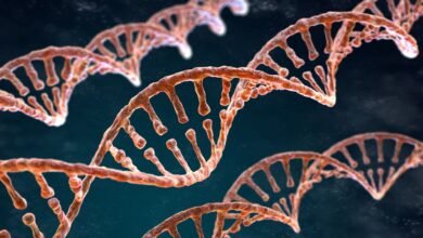 Já é possível identificar DNA humano pelo ar