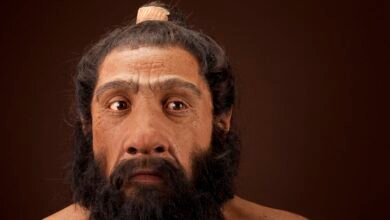 Os narizes grandes da espécie humana foram herdados dos neandertais, diz estudo
