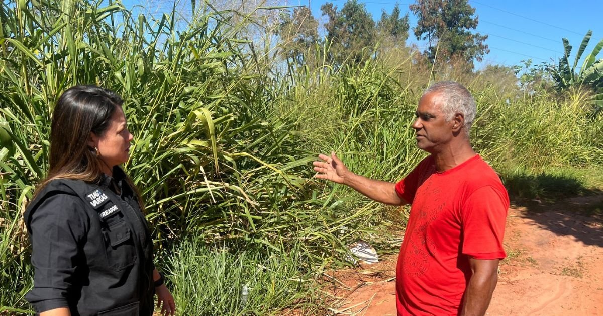 Vereador Tiago Vargas solicita melhorias urgentes para a rua João Penelo no bairro Monte Alegre