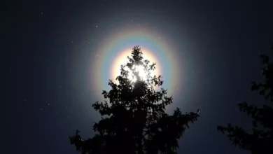 Os anéis de arco-íris em volta do Sol são causados por grãos de pólen
