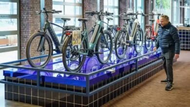 Gazelle: e-bike holandesa vai muito além do estilo; veja detalhes