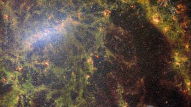 Nova foto do James Webb mostra estrelas e poeira em galáxia