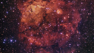 Nova foto traz nebulosa avermelhada e suas estrelas jovens