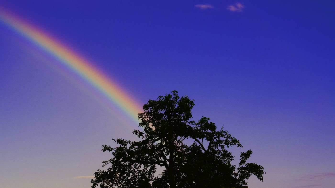 Pólen forma anéis coloridos no céu da Finlândia; veja fotos