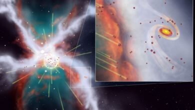 Saiba o que impediu uma supernova de destruir o Sistema Solar