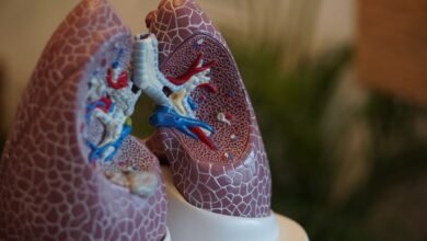 Câncer no pulmão: órgão é retirado para cirurgia e depois recolocado