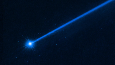 DART | Foto do Hubble mostra asteroide Dimorphos e seus pedaços