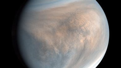 Destaque da NASA: Vênus e suas nuvens são a foto astronômica do dia