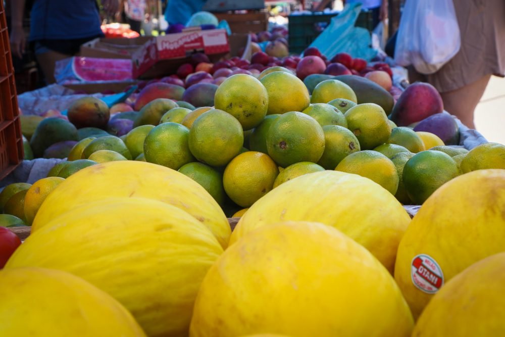 Governo do Estado realizará Conferência Regional da Agricultura Familiar em Três Lagoas, na próxima sexta (14)