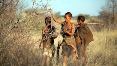 Mulheres caçadoras | Divisão de papéis de gênero nos caçadores-coletores é mito