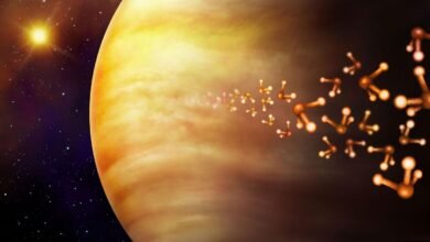 Nova detecção de fosfina reacende debate sobre vida em Vênus