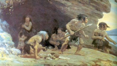 Pedras de 40 mil anos provam que neandertais sabiam produzir farinha