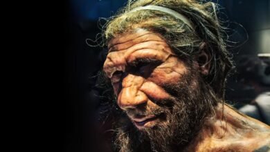 Que língua falavam os neandertais?