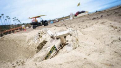 Robô inspirado em tartaruga é capaz de se mover na areia; confira