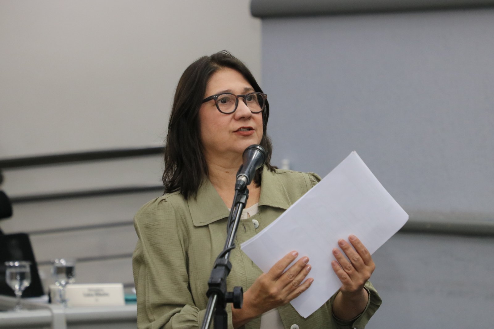 Vereadora Luiza Ribeiro apresenta Projeto de Resolução que institui a Frente Parlamentar de acompanhamento da Rota Bioceânica