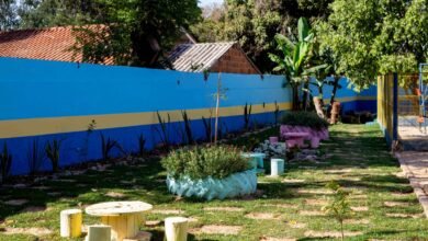 Acadêmicos de Agronomia da UNIGRAN constroem jardim sensorial em CEIM