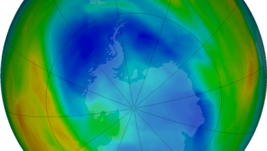 Buraco na camada de ozônio está maior que o normal