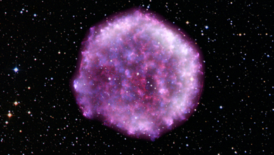 Segredo dos neutrinos será revelado na próxima supernova da Via Láctea