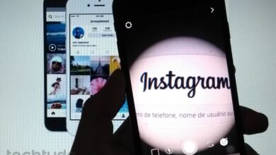 Baixar Stories do Instagram online: como fazer download de vídeos e fotos