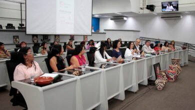 Audiência reúne autoridades e ativistas para discutir o bem viver das mulheres indígenas