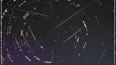 Chuva de meteoros Oriônidas: observatório no sul do Brasil registra 560 rastros de luz
