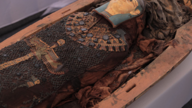Descoberto papiro com Livro dos Mortos egípcio e várias múmias em necrópole