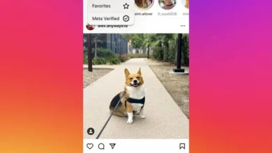 Meta Verified: Instagram está testando feed separado para contas verificadas