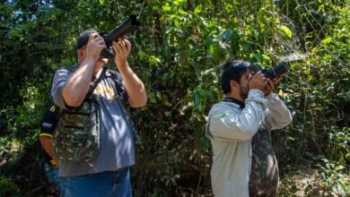 Parque do Pombo será um dos locais de MS em que pesquisadores estarão para o “Global Big Day” de observação de aves