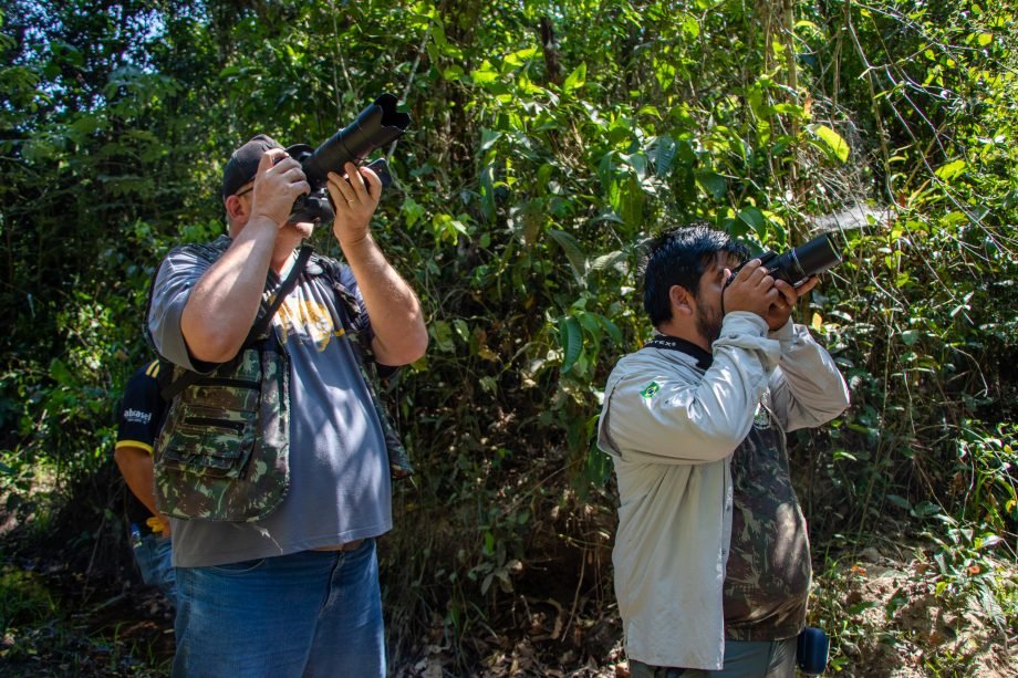 Parque do Pombo será um dos locais de MS em que pesquisadores estarão para o “Global Big Day” de observação de aves