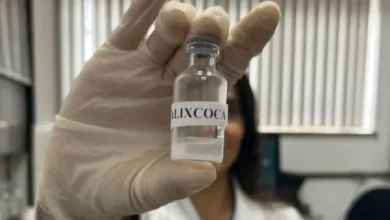 Vacina da universidade brasileira contra dependência de drogas ganha prêmio 