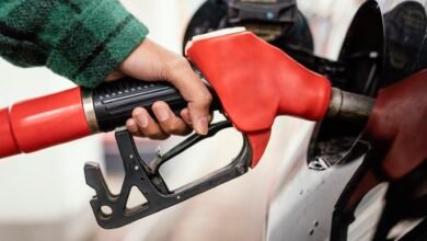 5 mitos e verdades sobre gasolina aditivada