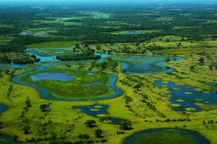 ALEMS reforça neste mês ações de conscientização ambiental